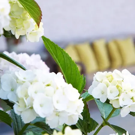 Szálloda Wellness & Thermal Retreat Muehlbach 4*