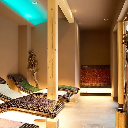 Otel Wellness & Thermal Retreat Muehlbach