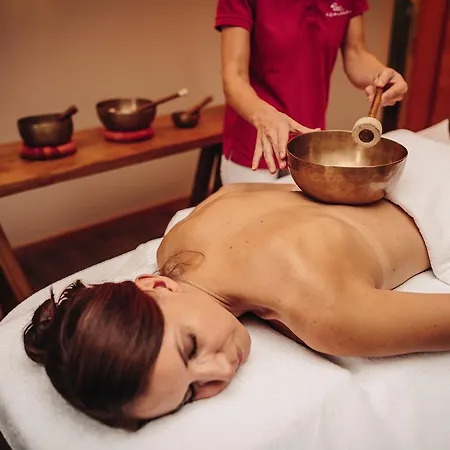 Szálloda Wellness & Thermal Retreat Muehlbach 4*