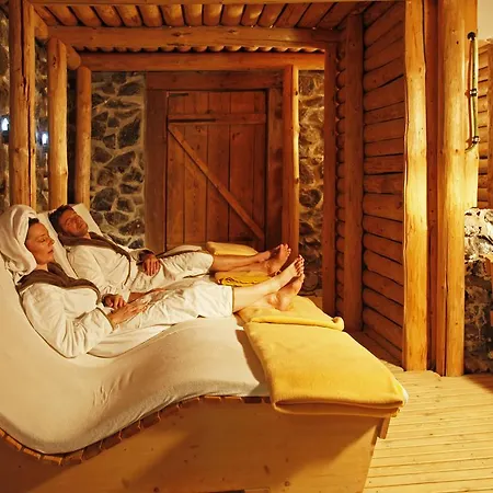 Otel Wellness & Thermal Retreat Muehlbach