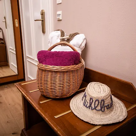 Wellness & Thermal Retreat Muehlbach מלון