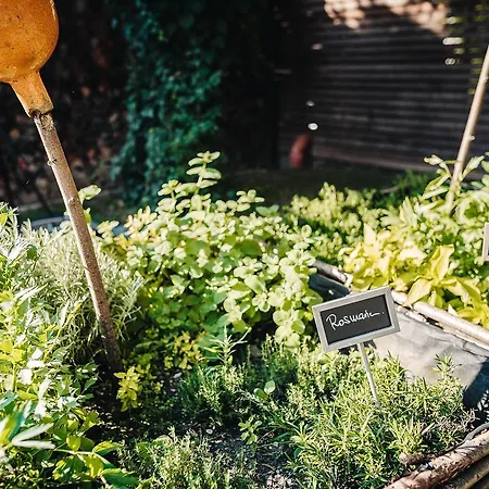 Wellness & Thermal Retreat Muehlbach 4* באד פיסינג